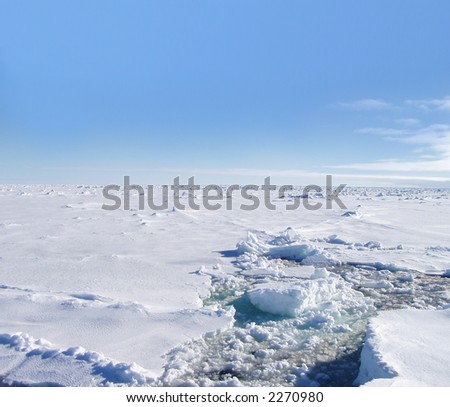Summer in Antarctica