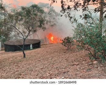 Summer Of Australian Bush Fires