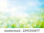 Summer background of blue and green, blurred foilage and sky with bright bokeh. Blurry abstract summer background. Natural green leaves using as cover page greenery environment ecology background