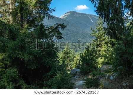Summer background with firest, path, mountains. Bansko, Pirin, Bulgaria.