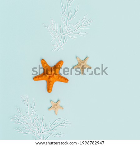 Summer background with red and yellow seastar and white coral on pastel blue. Concept of travel and vacation. Flat lay, top view, copy space