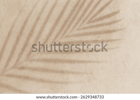 Summer background, top view sun shadow from palm leaf on sandy colored background. Summer aesthetic photo pale beige colored, copy space, nobody, vacation and relaxation concept. Abstract top view 