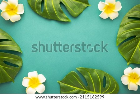 Summer background with tropical frangipani flowers and green tropical palm leaves on green background. Flat lay, top view. Summer party backdrop