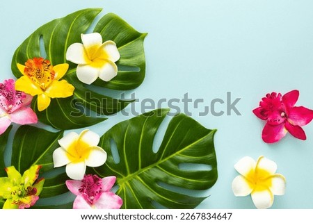 Summer background with tropical orchid flowers and green tropical palm leaves on light background. Flat lay, top view. Summer party backdrop