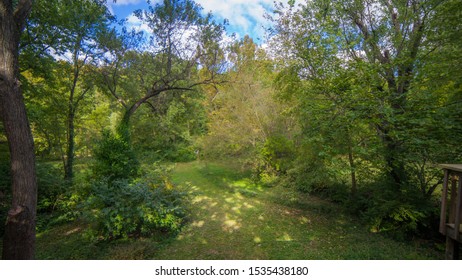 Summer In Backyard At Columbia MO