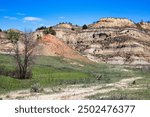 Summer in the Badlands of Theodore Roosevelt National Park, North Dakota.