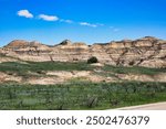 Summer in the Badlands of Theodore Roosevelt National Park, North Dakota.