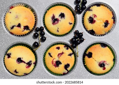 Summer baking - delicious homemade muffins with black currant in colorful paper moulds in baking tray, fresh currant around
