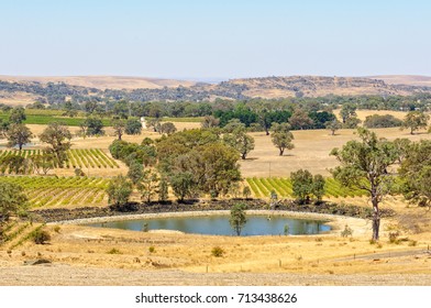 Summer In The Barossa Valley - SA, Australia