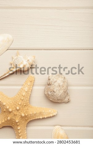 Summer beach flat lay. Seashells, starfish on light wooden background. Vertical photo