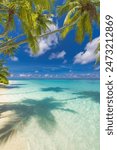 Summer beach landscape. Tropical island paradise. Exotic coast, palm trees, pristine sea, blue happy sky. Amazing nature pattern. Exotic destination travel background, vacation mood perfect wallpaper