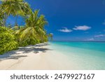 Summer beach landscape. Tropical island paradise. Exotic coast, palm trees, pristine sea, blue happy sky. Amazing nature pattern. Exotic destination travel background, vacation mood perfect wallpaper