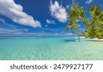 Summer beach landscape. Tropical island paradise. Exotic coast, palm trees, pristine sea, blue happy sky. Amazing nature pattern. Exotic destination travel background, vacation mood perfect wallpaper