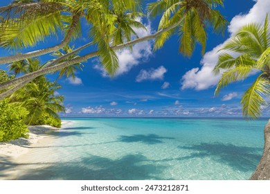 Summer beach landscape. Tropical island paradise. Exotic coast, palm trees, pristine sea, blue happy sky. Amazing nature pattern. Exotic destination travel background, vacation mood perfect wallpaper - Powered by Shutterstock