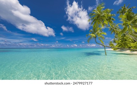 Summer beach landscape. Tropical island paradise. Exotic coast, palm trees, pristine sea, blue happy sky. Amazing nature pattern. Exotic destination travel background, vacation mood perfect wallpaper
