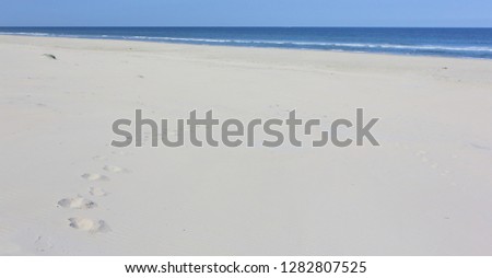 Summer beach on island Ameland.
