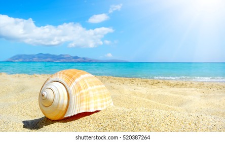 Summer Beach With Shell. Crete, Lassithi