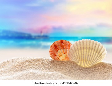 1000 Coquillages Plage Stock Images Photos Vectors