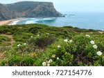 Summer blossoming Atlantic rocky coast view, Aljezur, Algarve west, Costa Vicentina, Portugal.