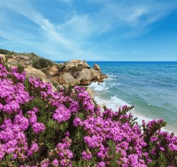 Vue Estivale Sur La Côte Rocheuse Atlantique Fleurie De Fleurs Violettes (Algarve, Portugal).
