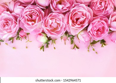 362,148 Delicate rose Images, Stock Photos & Vectors | Shutterstock