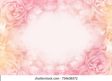 Peach Flower Background Images Stock Photos Vectors Shutterstock