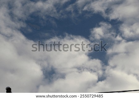 Summer blue sky cloud gradient light white background. Beauty clear cloudy in sunshine calm bright winter air bacground. Gloomy vivid cyan landscape in environment day horizon skyline view spring wind