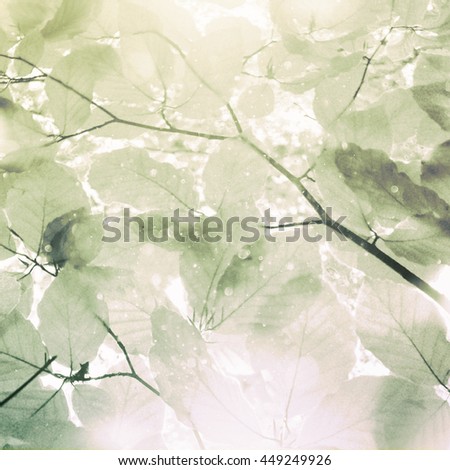 Similar – Image, Stock Photo summer resort Light Green