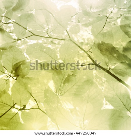 Image, Stock Photo summer resort Light Green