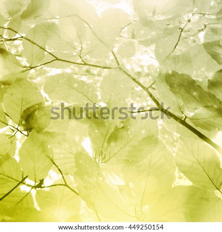 Similar – Image, Stock Photo summer resort Light Green