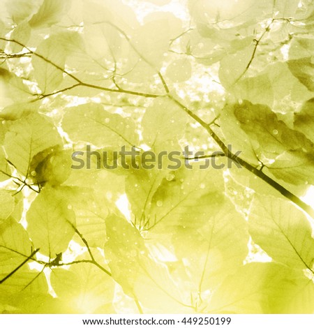 Similar – Image, Stock Photo summer resort Light Green