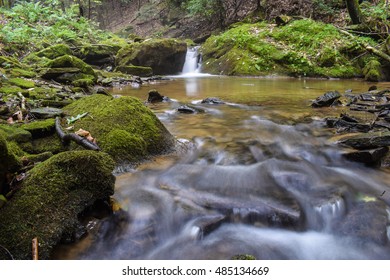 Summer Brook Trout Stream In The Appalachian Mountains.