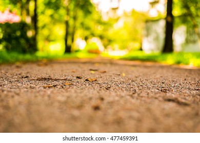 Summer In The City, The Alley With Trees In The Park. View From The Ground Level