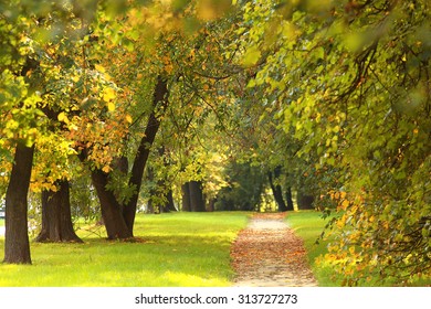 Summer City Park Landscape Stock Photo 313727273 | Shutterstock