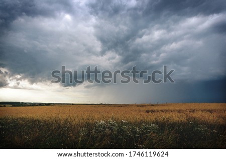 Summer cloudy rural landscape.Ominous clouds in overcast sky over the ripe wheat agricultural field.Heavy rain coming.