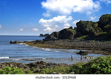 Summer Coast