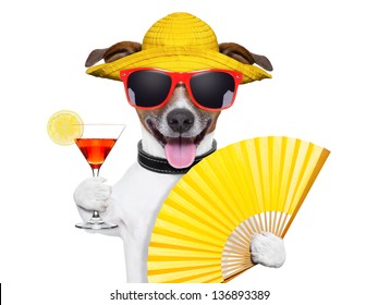 Summer Cocktail Dog Cooling Off With Hand Fan