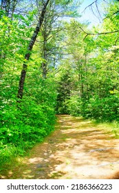 Summer In Colby College In Maine, USA