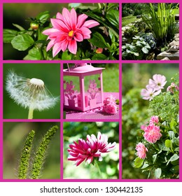 Summer collage