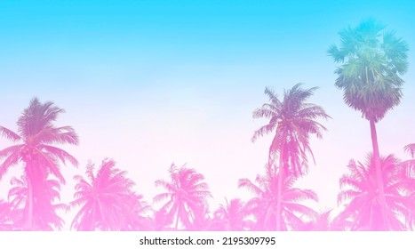 Summer colorful theme with palm trees background as texture frame image background    