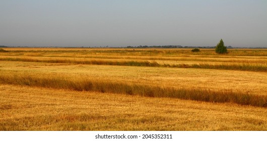 Summer Colors In The Kiskunság National Park, Hungary