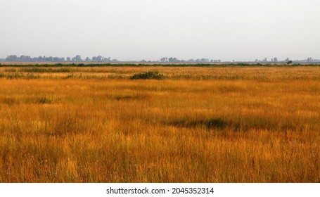 Summer Colors In The Kiskunság National Park, Hungary