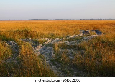 Summer Colors In The Kiskunság National Park, Hungary