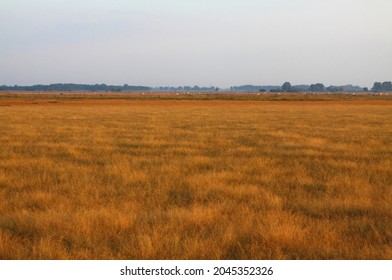 Summer Colors In The Kiskunság National Park, Hungary