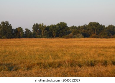 Summer Colors In The Kiskunság National Park, Hungary