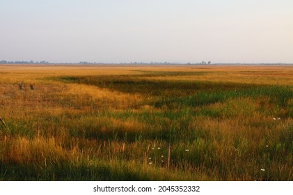 Summer Colors In The Kiskunság National Park, Hungary