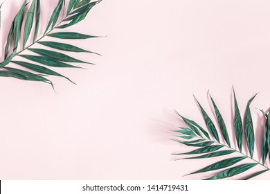 Summer composition. Tropical palm leaves on pastel pink background. Summer concept. Flat lay, top view, copy space