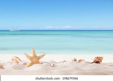 Summer concept with sandy beach, shells and starfish. - Powered by Shutterstock