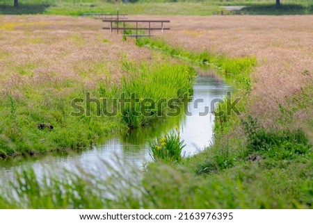 Summer countryside landscape with flat and low land, Typical Dutch polder with green meadow and the fence, Small canal or ditch with wooden bridge between the grass field, Noord Holland, Netherlands.