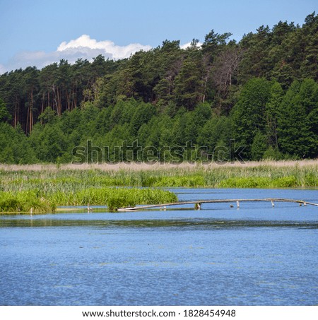 Similar – Image, Stock Photo Lake with wooden footbridges